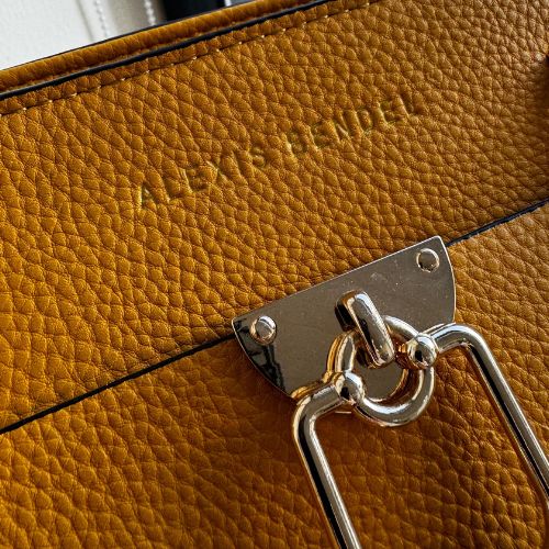 Alexis Bendel Bag